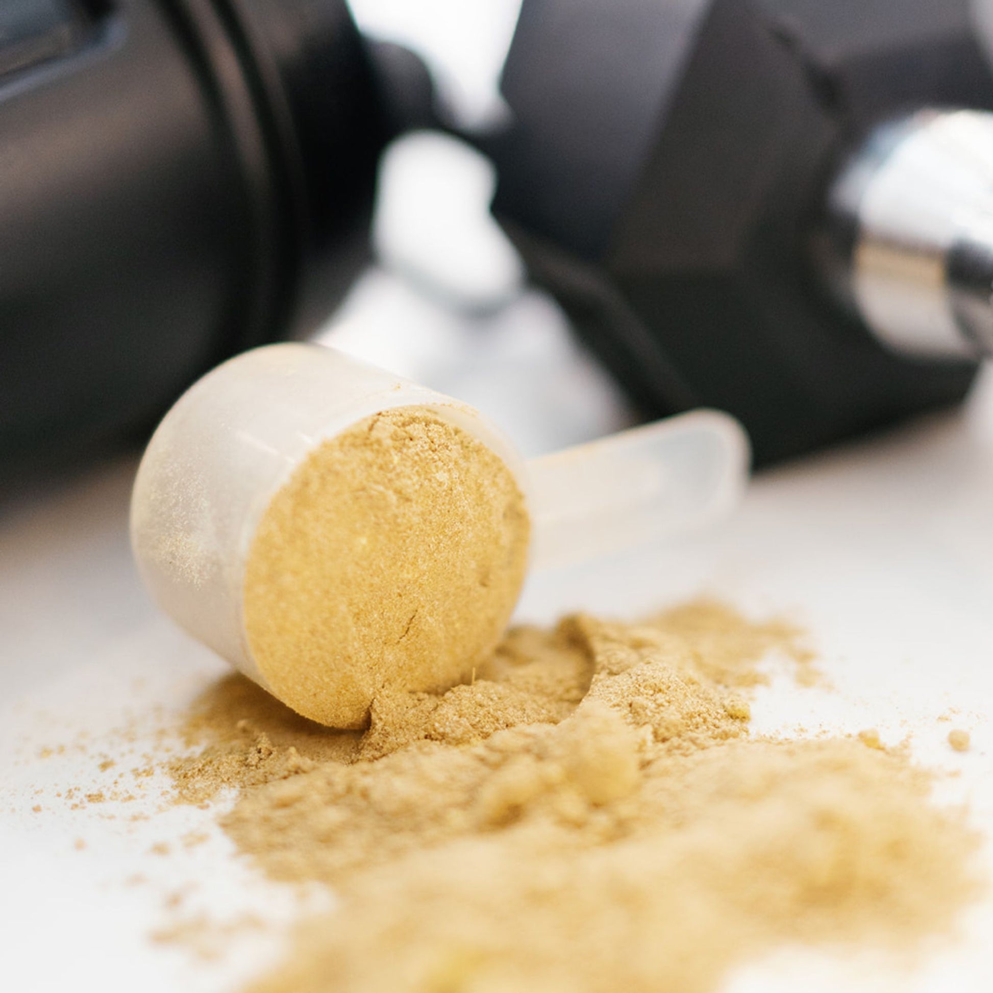 Golden salutem scoop with powder spilling out onto white counter. Black dumbell and shaker bottle behind the scoop with powder. 